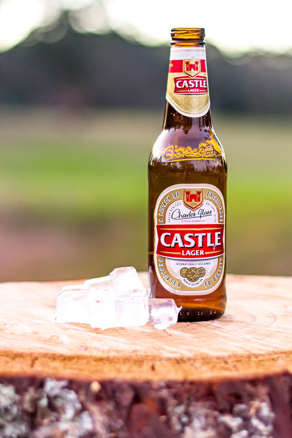 Buy Castle Lager (Case) 24 Beers USA