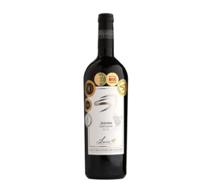 KWV Mentors Orchestra 2019 | SA Wine USA